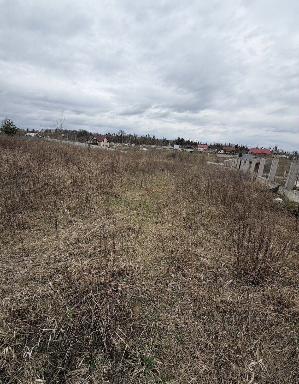 ����� �������� ������ �� �������� ���� 1