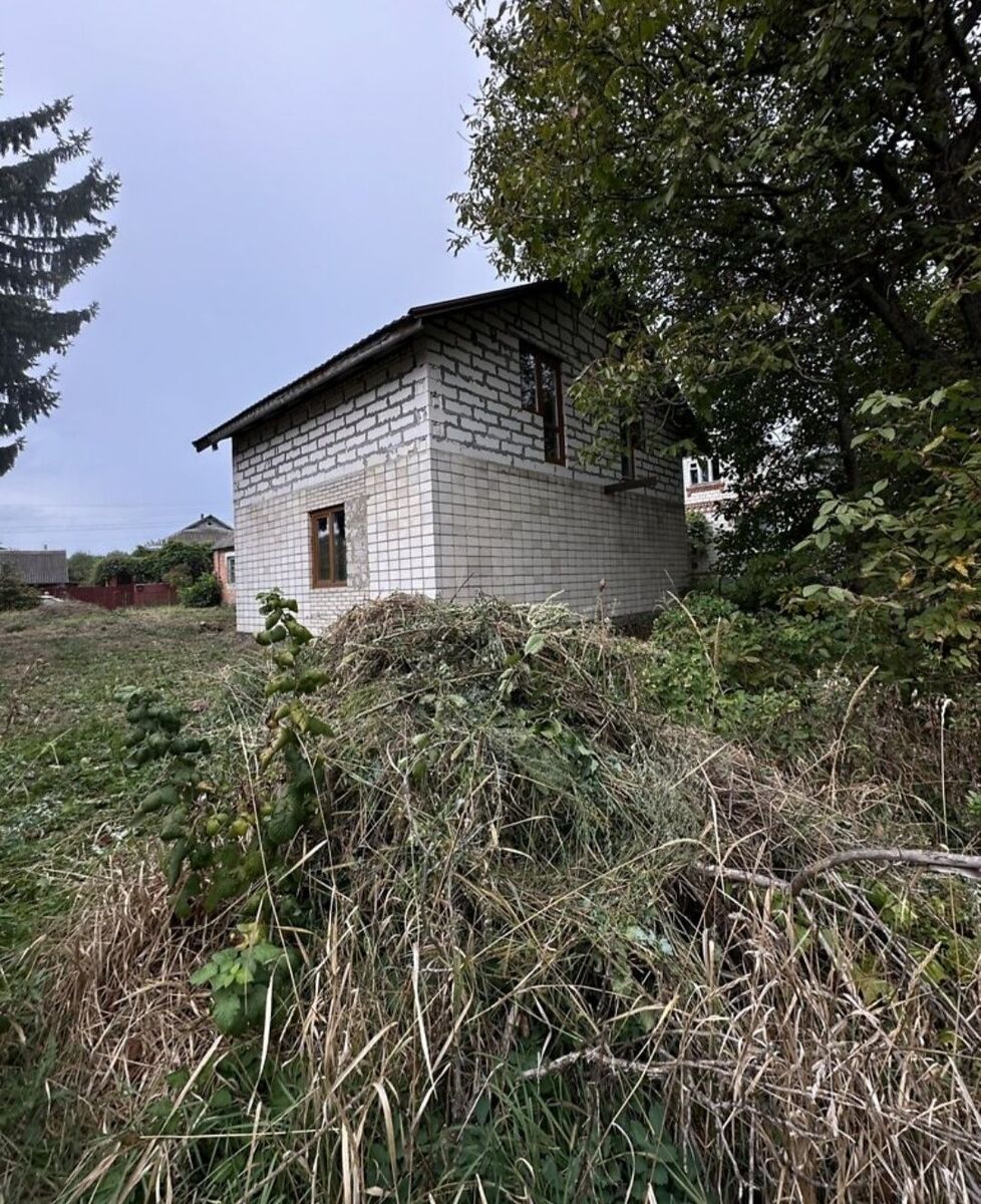 Земля в Якушинцях. фото 1 Земля в Якушинцях. фото 1