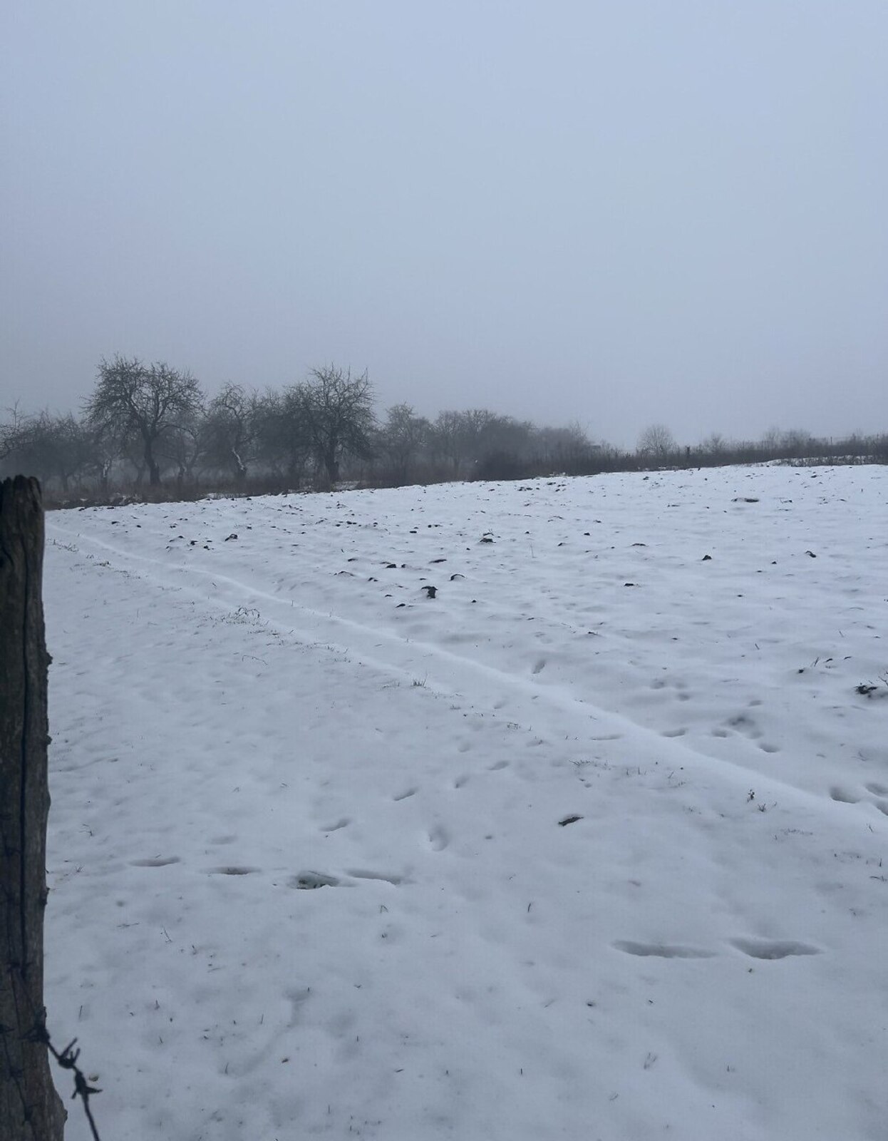 ������ �������� ������ �� ������� �������� ���� 1