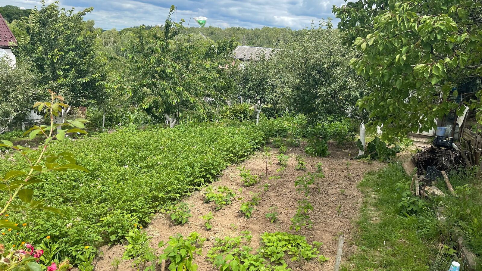 Продається ділянка Вінницька, Вінниця, Передмістя, Зарванці, Садова фото 1 Продається ділянка Вінницька, Вінниця, Передмістя, Зарванці, Садова фото 1