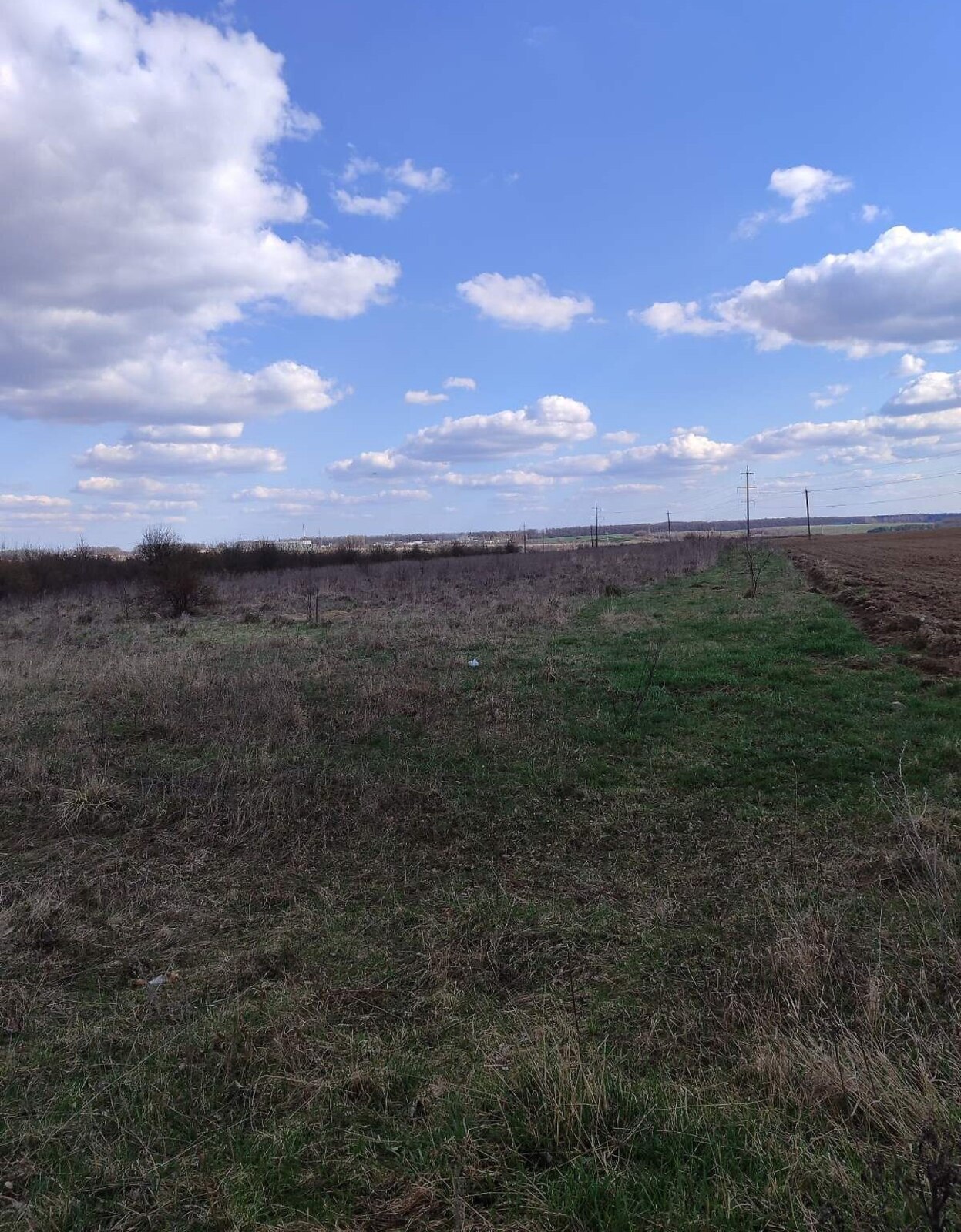 Продаж земельної ділянки комерційного призначення фото 1 Продаж земельної ділянки комерційного призначення фото 1