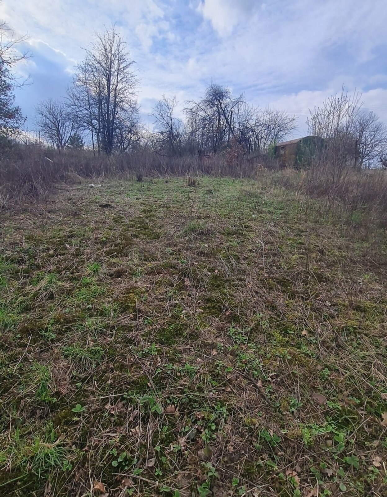 ������ �������� ������ ��������������������� ����������� ���� 1