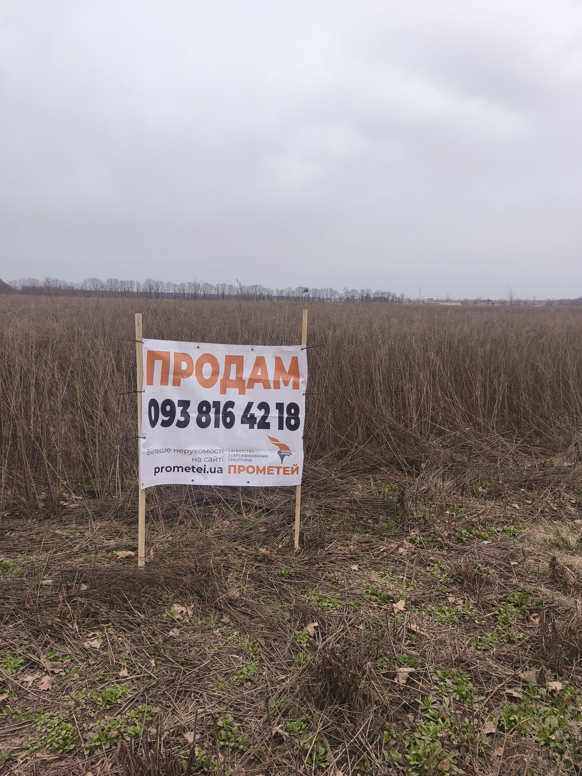 ������ �������� ������ ���� 1