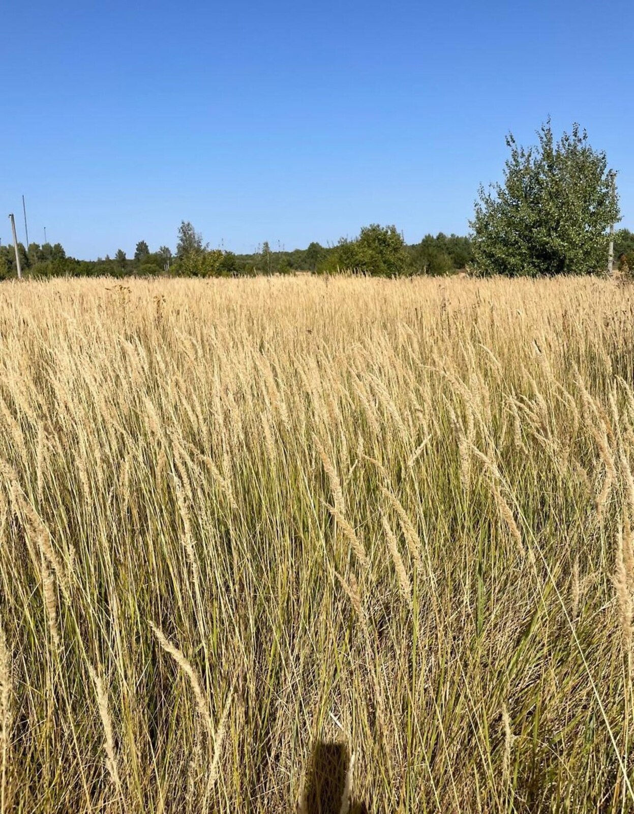 Продаж земельної ділянки під житлову забудову фото 1 Продаж земельної ділянки під житлову забудову фото 1