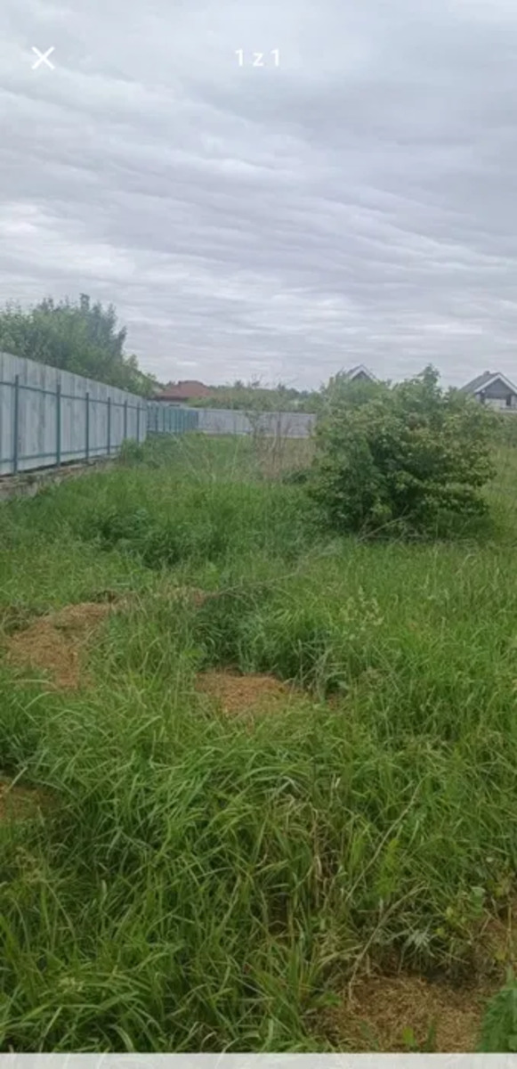 �������� ������ �� �������� ���� 1