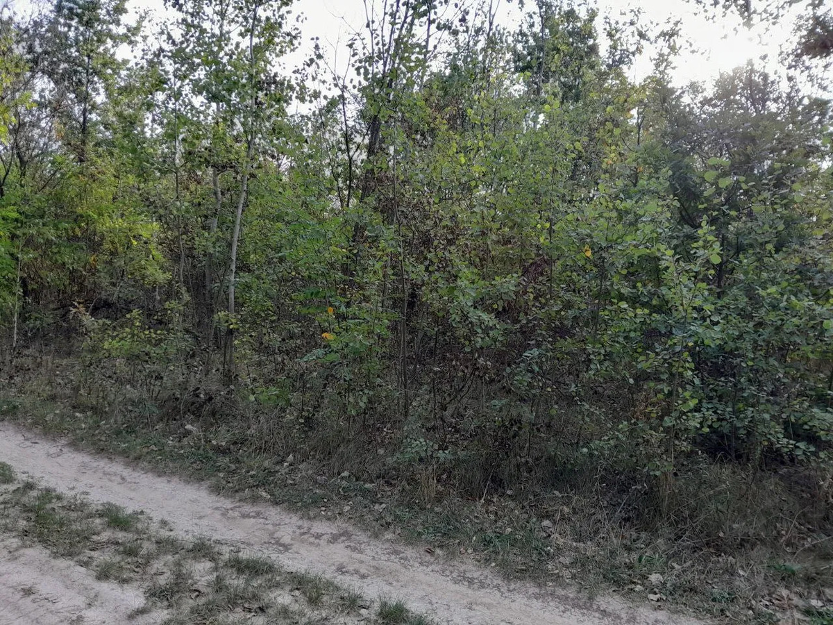 Продається ділянка Вінницька, Вінниця, Передмістя, Лука-Мелешківська фото 1 Продається ділянка Вінницька, Вінниця, Передмістя, Лука-Мелешківська фото 1