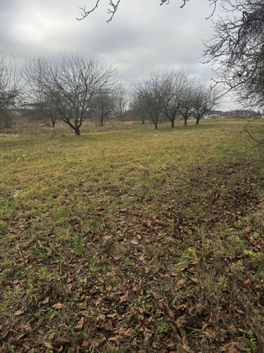 Земельна ділянка. фото 1 Земельна ділянка. фото 1