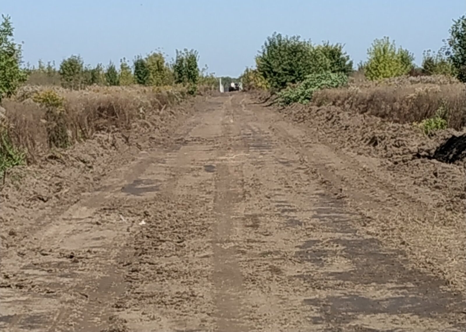 Продаж земельної ділянки під житлову забудову фото 1 Продаж земельної ділянки під житлову забудову фото 1