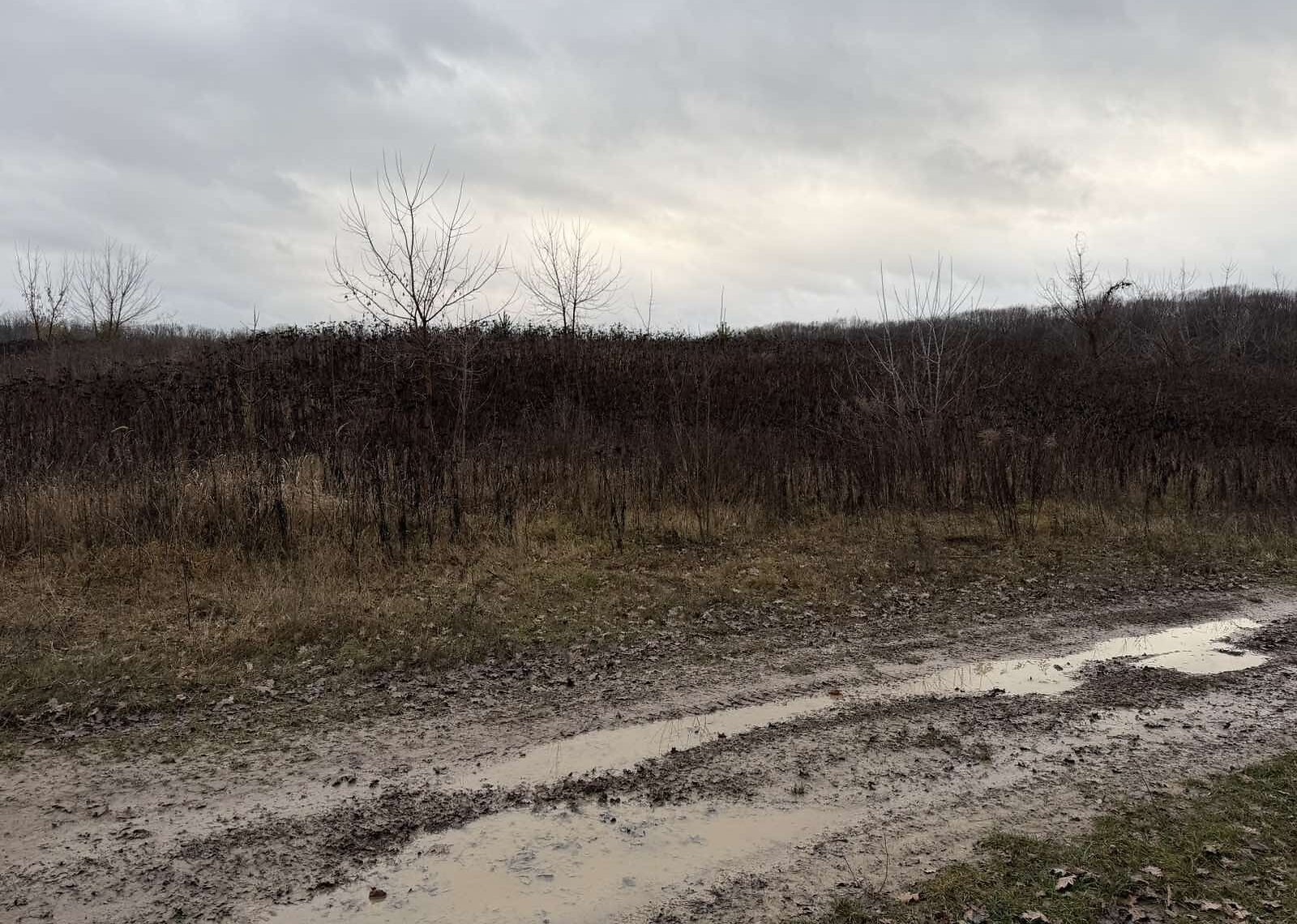 ������ �������� ������ �� ������� �������� ���� 1