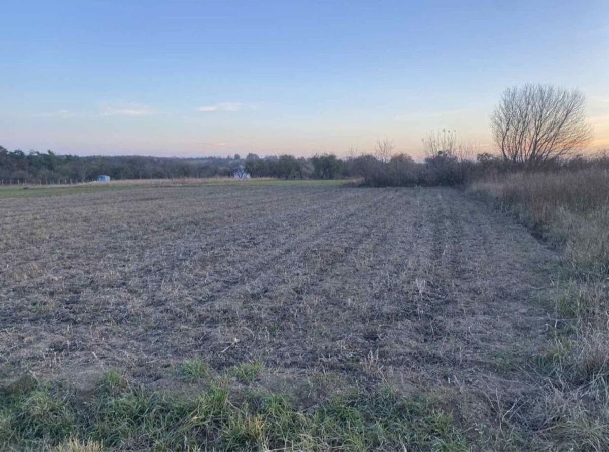 ������ �������� ������. ���� 1