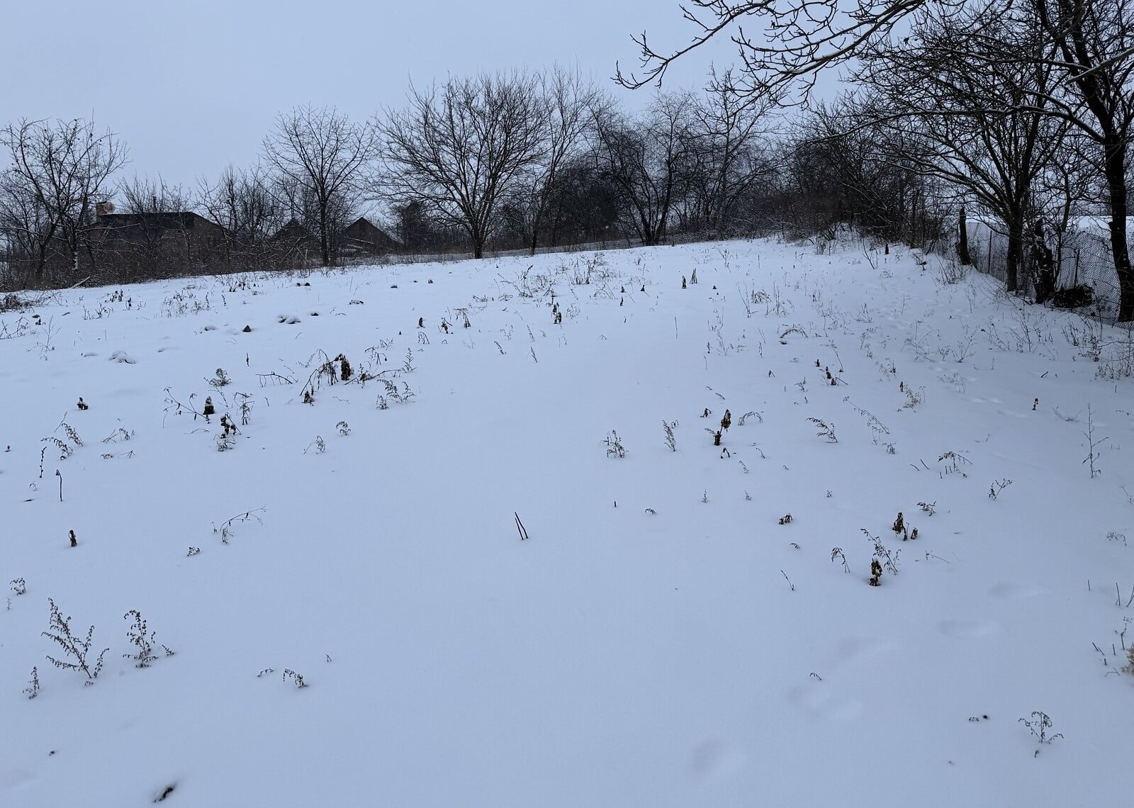 ������ �������� ������ �� ������� �������� �� ���. ������� ������������� ���� 1