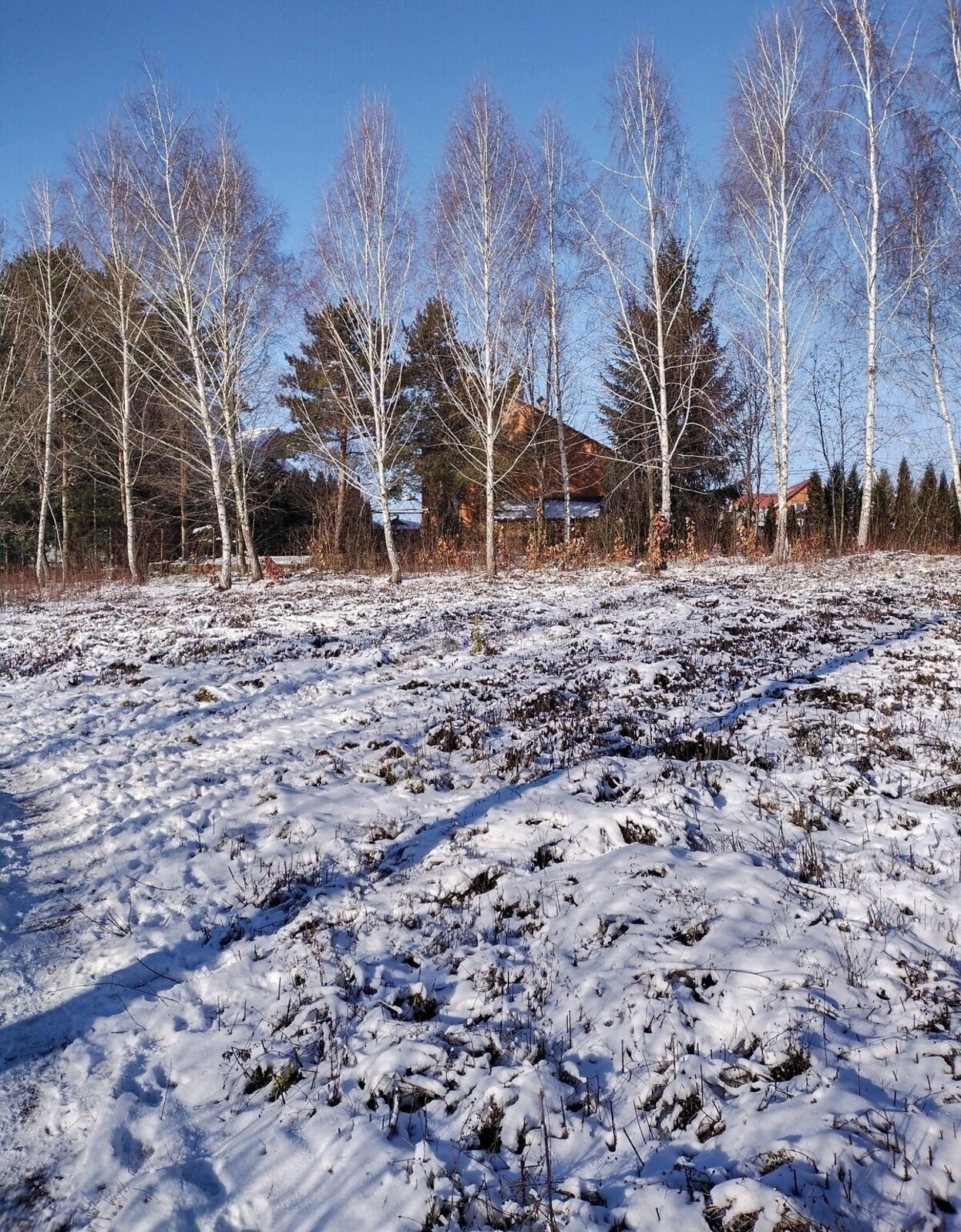 Продаж земельної ділянки під житлову забудову на пров. Софіївський фото 1 Продаж земельної ділянки під житлову забудову на пров. Софіївський фото 1