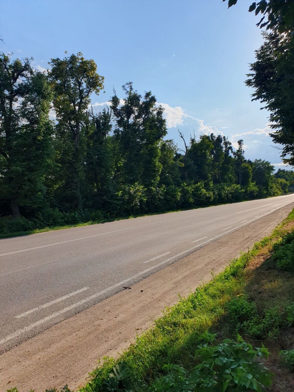 Земельна ділянка фото 1 Земельна ділянка фото 1