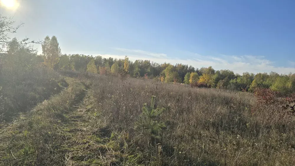 Земельна ділянка 2.5гектари фото 1 Земельна ділянка 2.5гектари фото 1