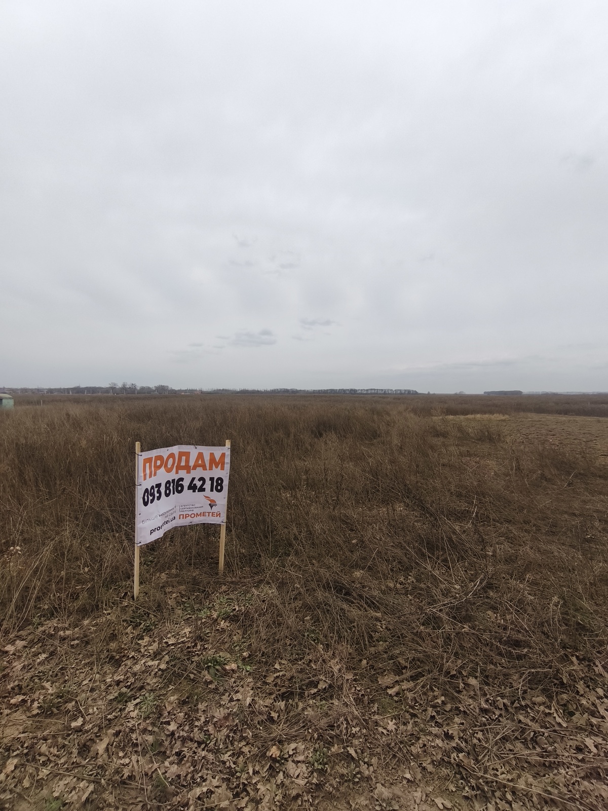 ������ �������� ������ ���� 1