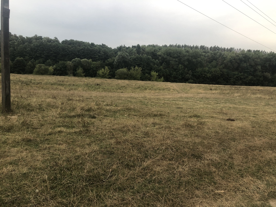 Земельна ділянка в Шкуринцях фото 1 Земельна ділянка в Шкуринцях фото 1