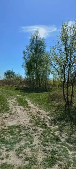 Продам земельну ділянку в районі Стрижавки фото 1 Продам земельну ділянку в районі Стрижавки фото 1