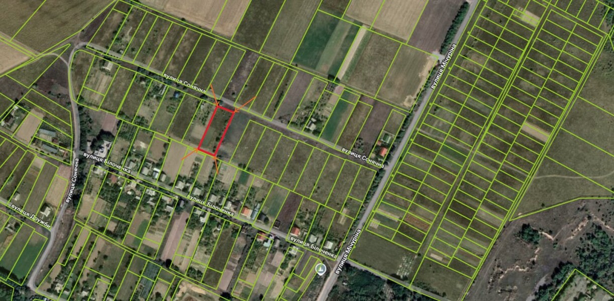 🌿 ������ �������� ������ 25 ����� �� �������� � �. г���� ���� 1