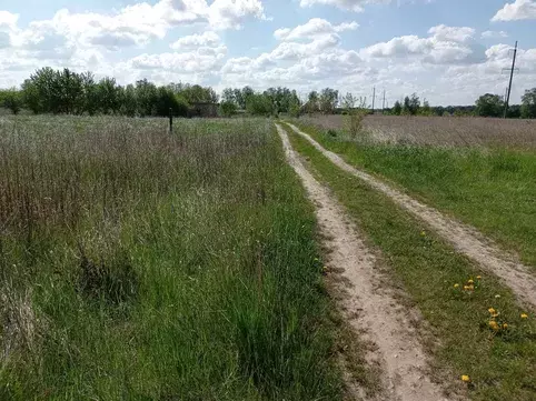 ������ ������ ���� 1