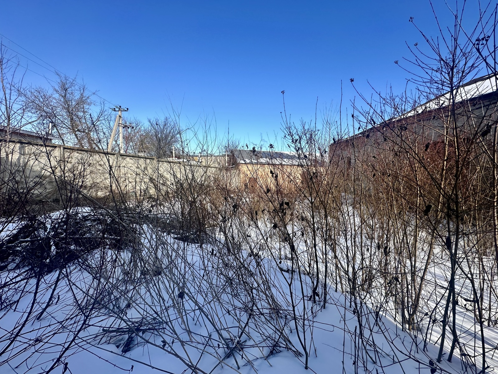 ������ ������ �����ֲ����� ����������� �� �������! ���� 1