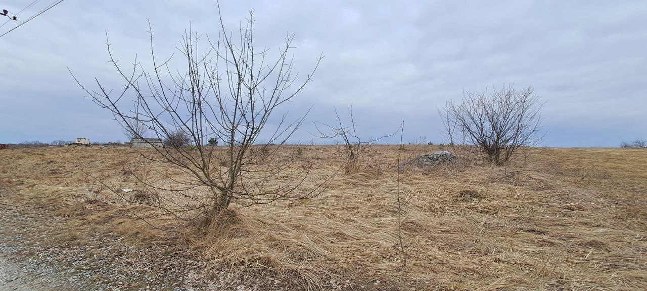 Продаж земельної ділянки в селі Рівець під житлову забудову по вулиці Дружби фото 1 Продаж земельної ділянки в селі Рівець під житлову забудову по вулиці Дружби фото 1