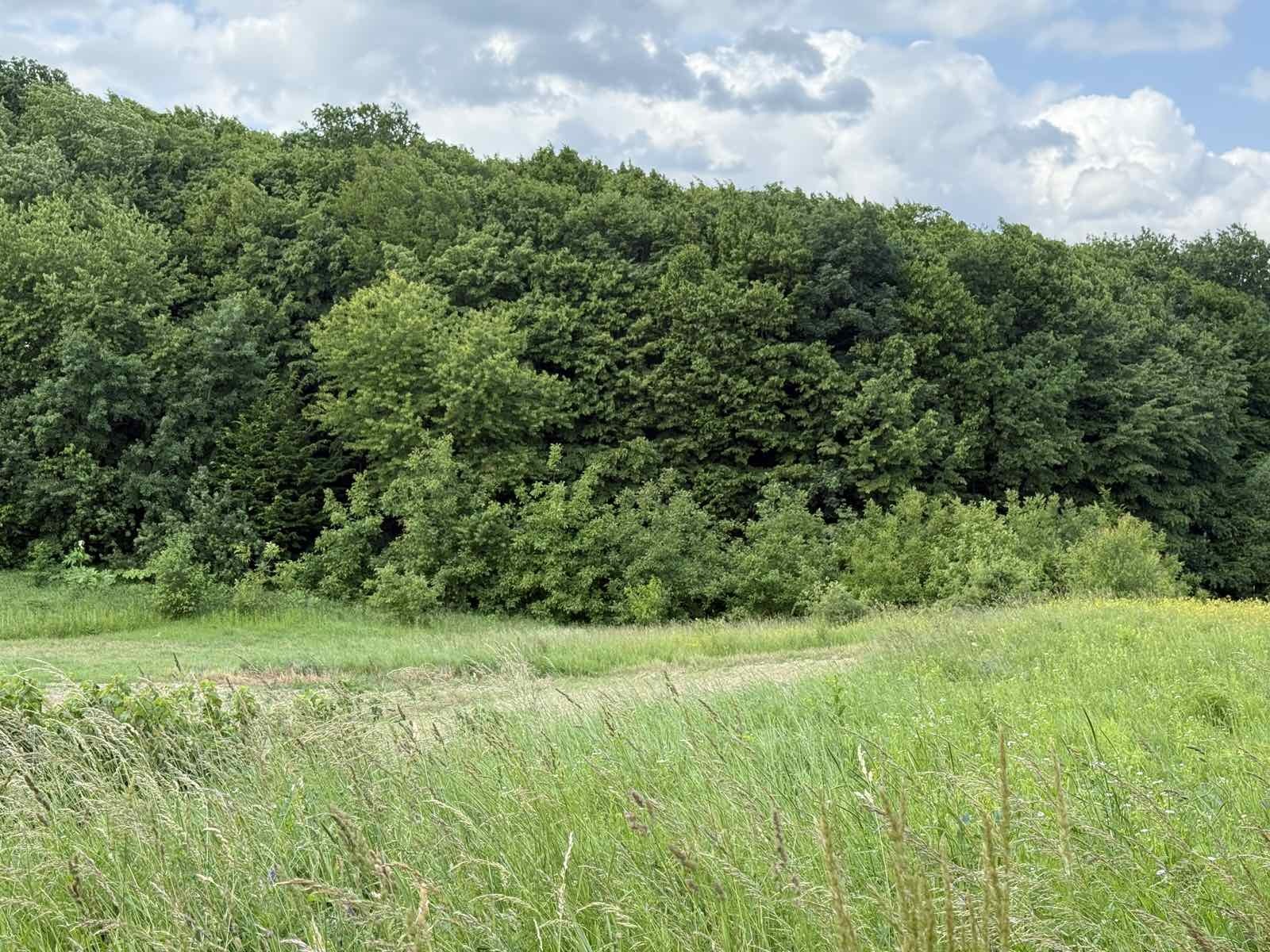 Продається ділянка Вінницька, Вінниця, Передмістя, Писарівка фото 1 Продається ділянка Вінницька, Вінниця, Передмістя, Писарівка фото 1