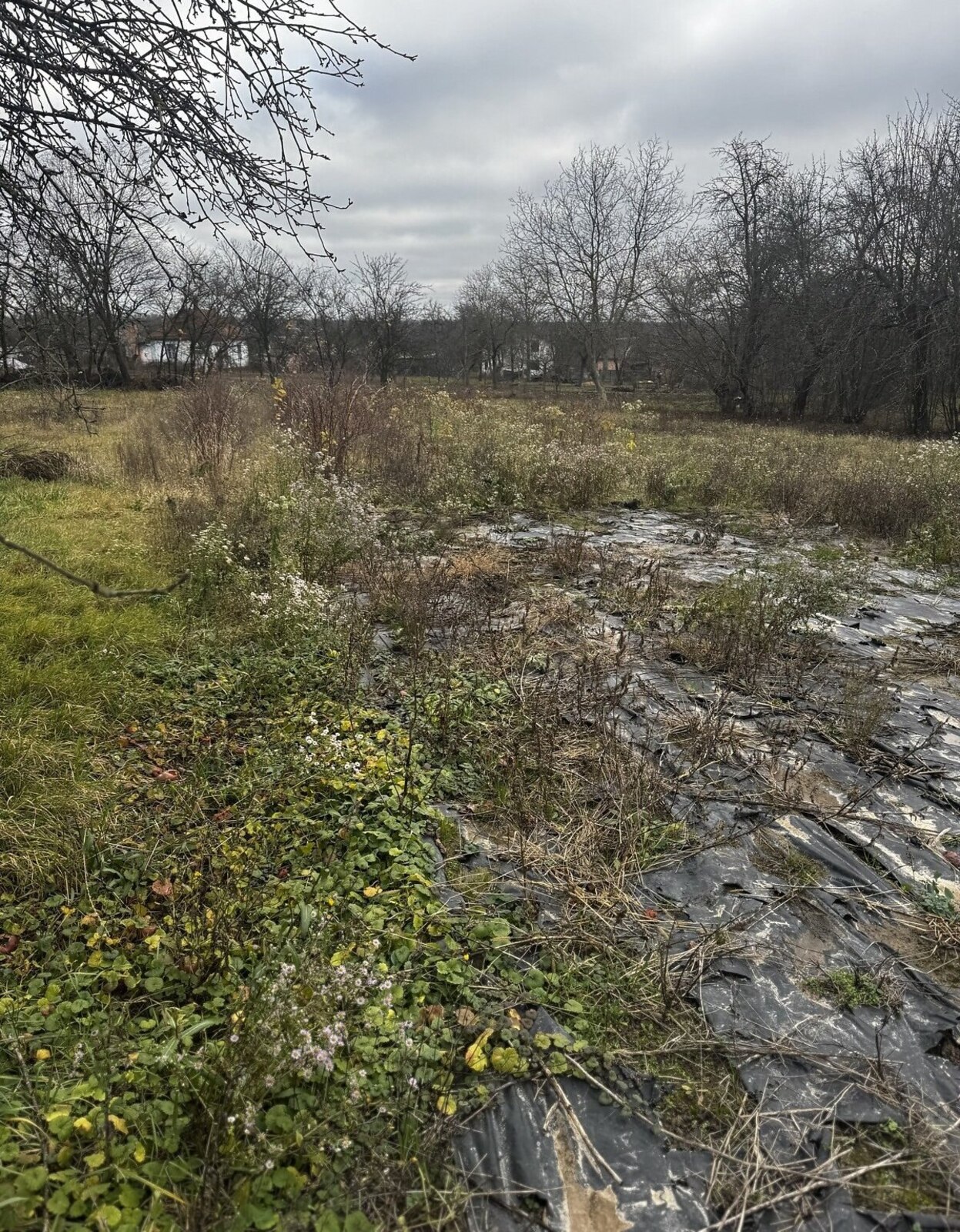 ������ �������� ������ �� ������� �������� ���� 1