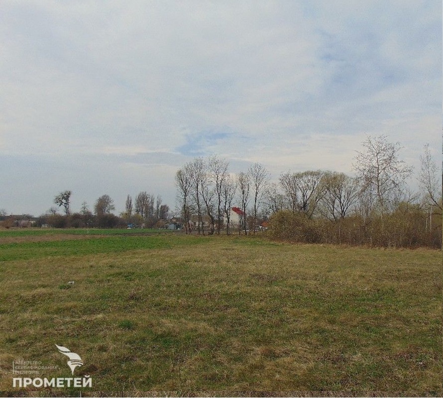 Земельна ділянка с. Дорожне фото 1 Земельна ділянка с. Дорожне фото 1
