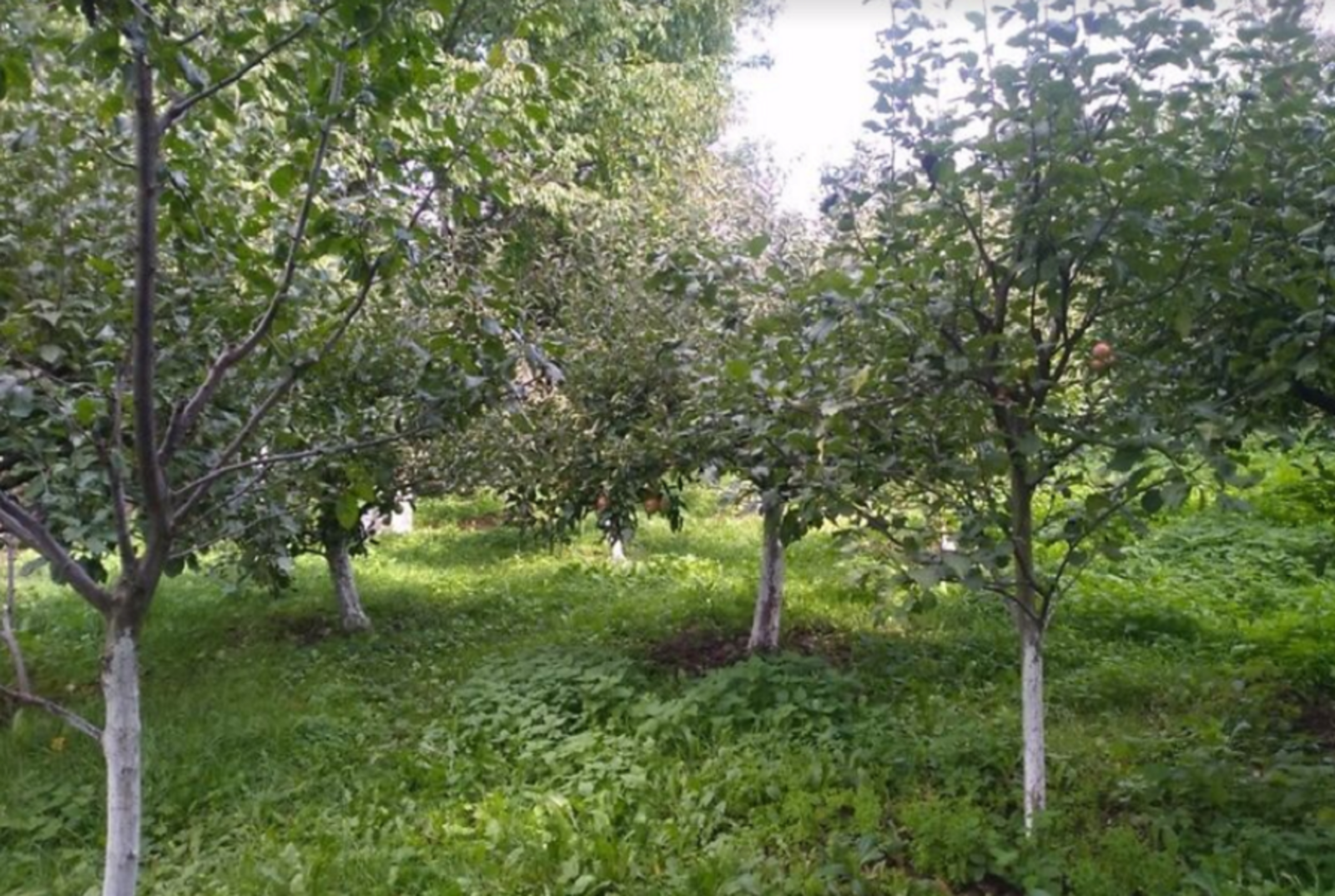Продаж земельної ділянки під житлову забудову в мікрорайоні Старе місто фото 1 Продаж земельної ділянки під житлову забудову в мікрорайоні Старе місто фото 1