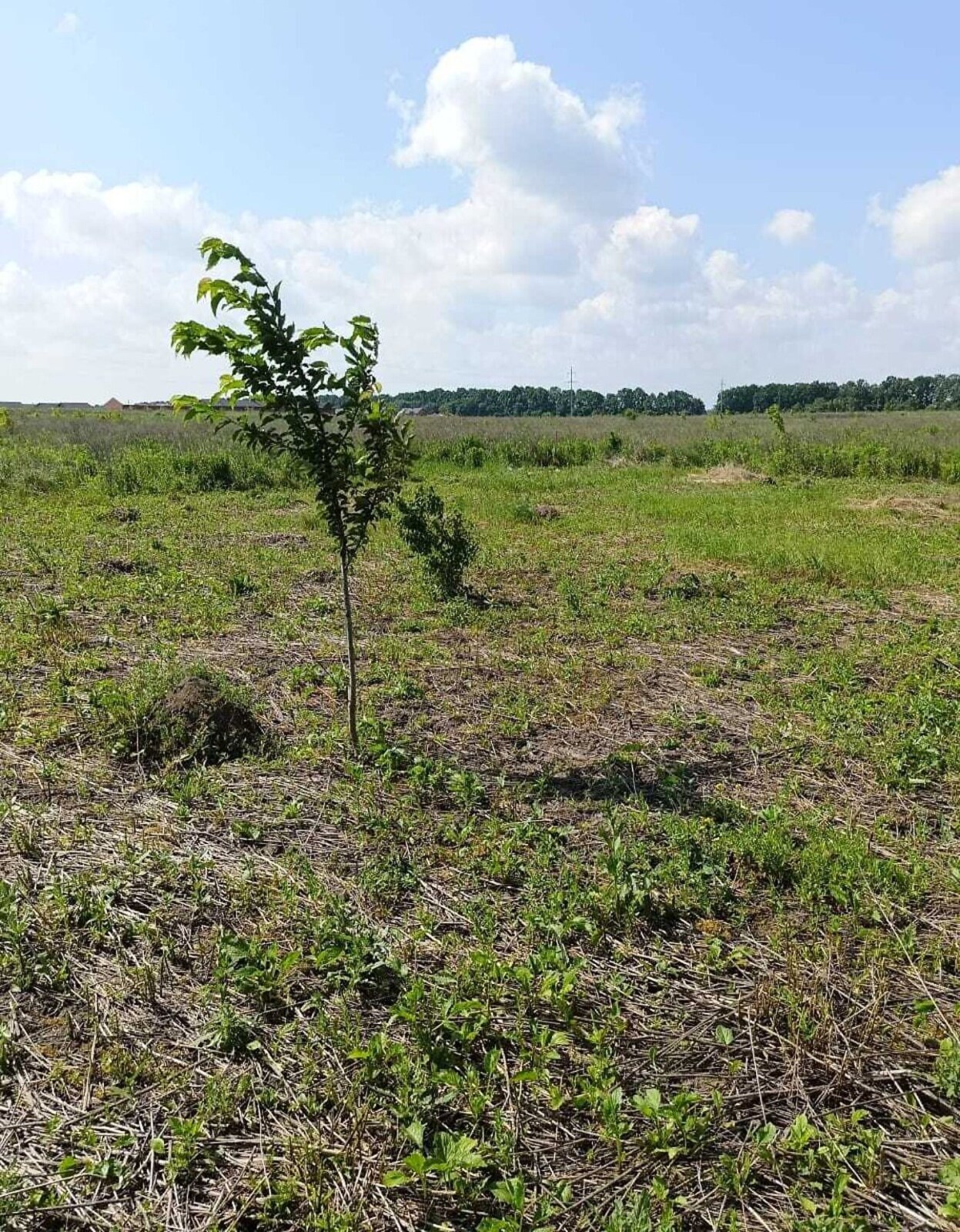 Продається ділянка Вінницька, Вінниця, Передмістя, Агрономічне фото 1 Продається ділянка Вінницька, Вінниця, Передмістя, Агрономічне фото 1