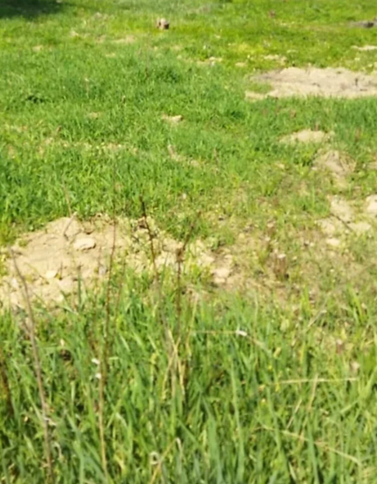 ������ �������� ������ �� ������� �������� ���� 1