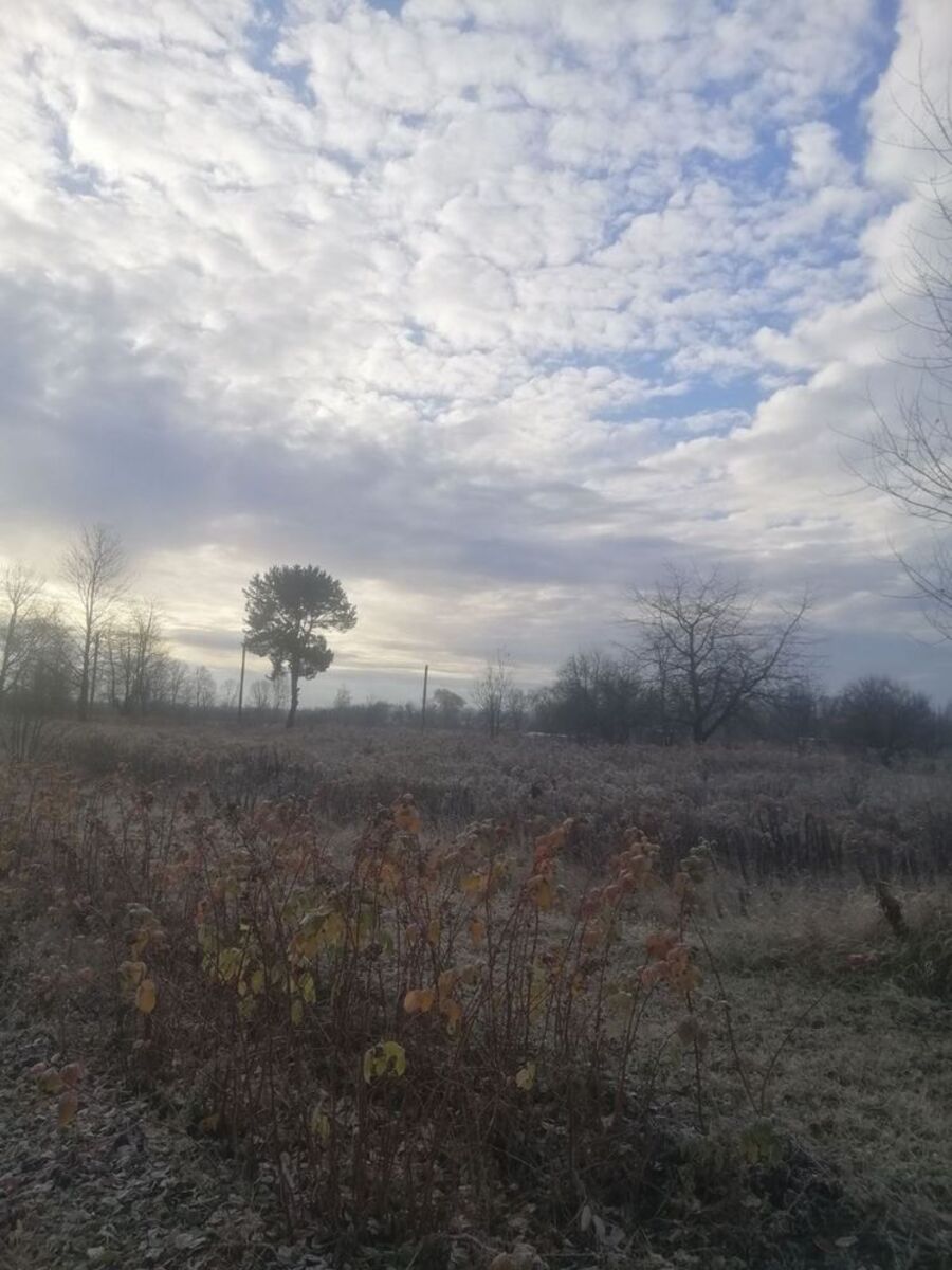 ������ �������� ������ ���� 1