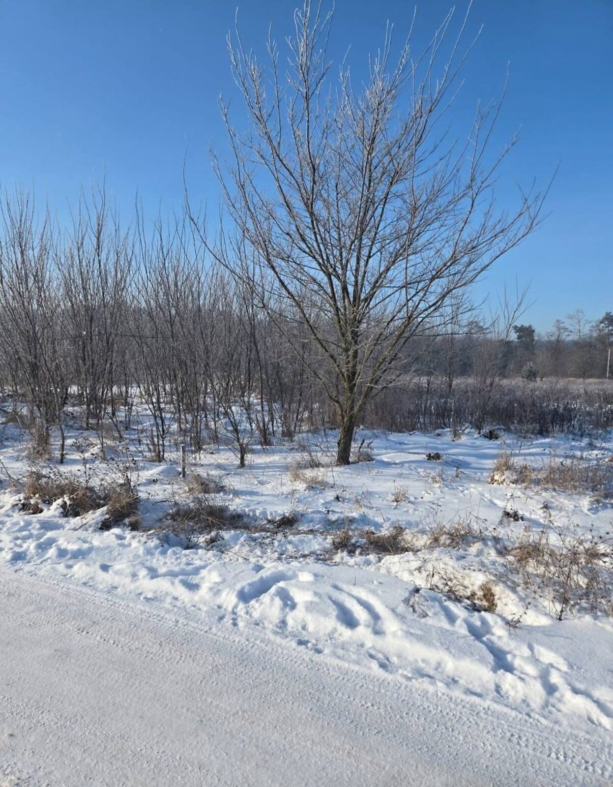 ������ �������� ������ ��������������������� ����������� ���� 1