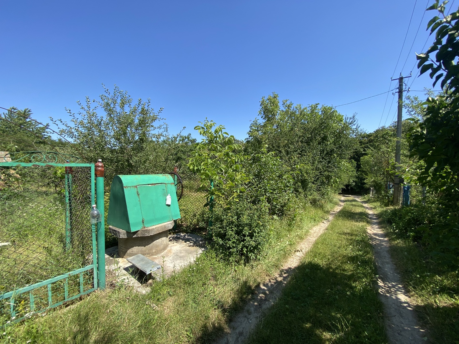 🌳 Продається земельна ділянка з криницею та плодовими деревами! фото 1 🌳 Продається земельна ділянка з криницею та плодовими деревами! фото 1