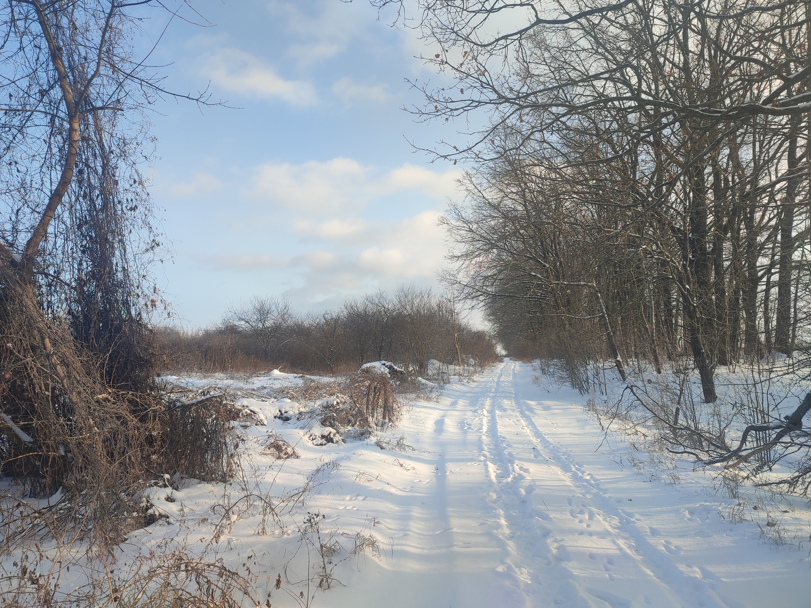 ��������� ������ ³�������, ³�����, ���������, ����������, 7 �������� �������� ���� 1