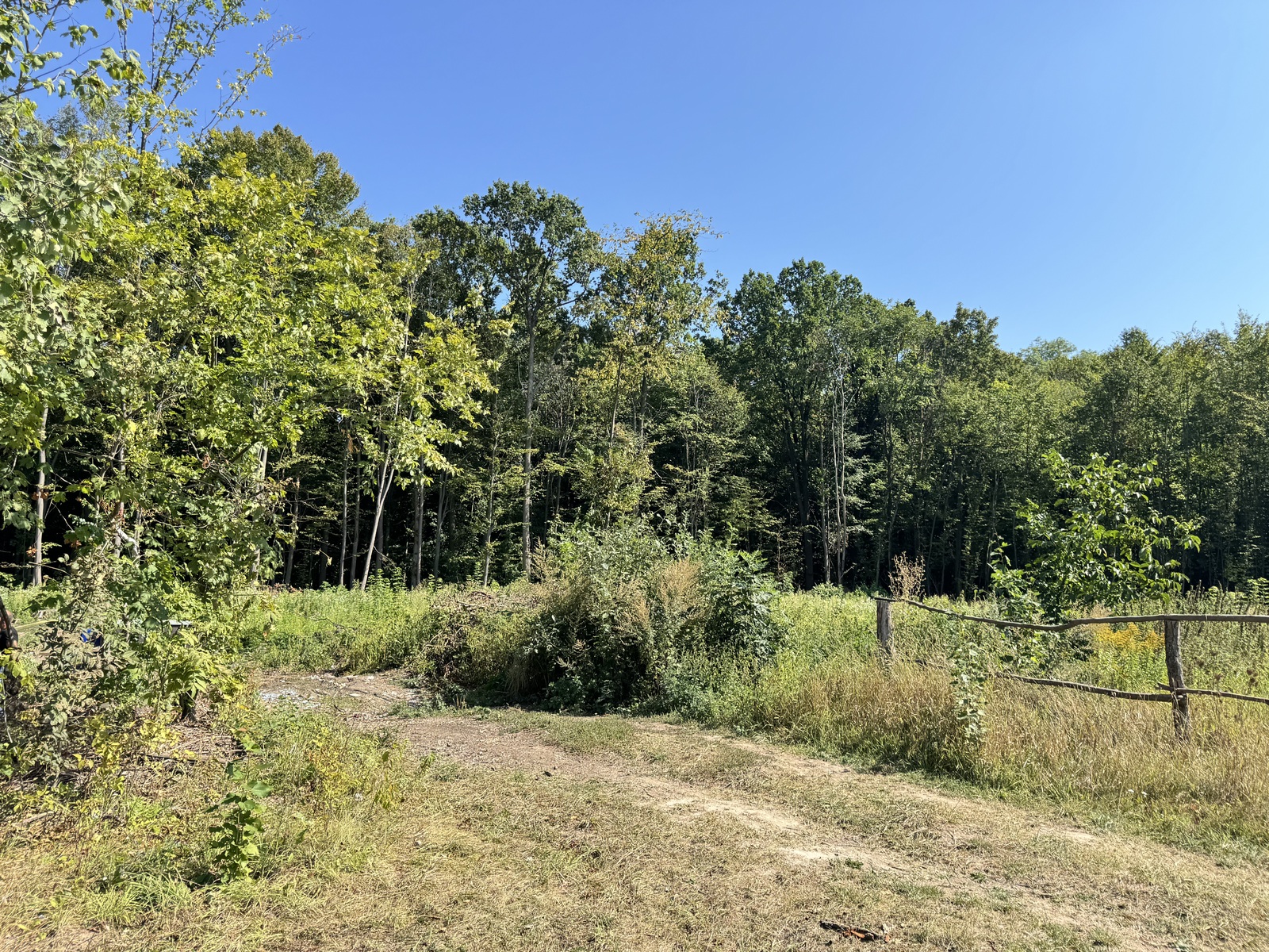 ĳ����� �������� ���� 1