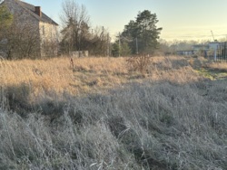 ������ ������ � ���������� ���� 19