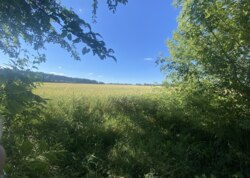 Продаж земельної ділянки сільськогосподарського призначення фото 10 Продаж земельної ділянки сільськогосподарського призначення фото 10