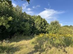 ĳ����� �������� ���� 2