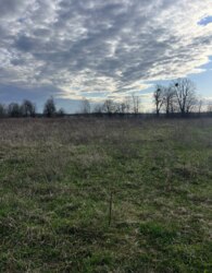 ������ �������� ������ �� ������� �������� ���� 8