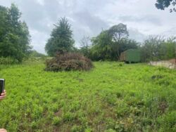 ������ ������ 5 �����, �� ��������. ���� 5