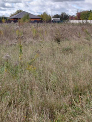 Земельна ділянка 12 сот. Вінницька обл.. фото 14 Земельна ділянка 12 сот. Вінницька обл.. фото 14