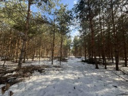 ������ �������� ������ ������ 4 ������� ��������������������� ����������� � ������� ������� ���� � �������� ���� 3