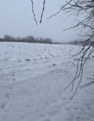 ������ �������� ������ �� ������� �������� ���� 2