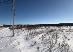 ������ �������� ������ ��������� (��������) ���� 8