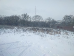 ���� ����. ���� 5