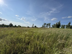 🌿 Продаж земельної ділянки зі зручним під'їздом! фото 2 🌿 Продаж земельної ділянки зі зручним під'їздом! фото 2
