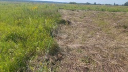 Продаж ділянки в Ксаверівці фото 7 Продаж ділянки в Ксаверівці фото 7