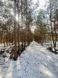 ������ �������� ������ ������ 4 ������� ��������������������� ����������� � ������� ������� ���� � �������� ���� 1