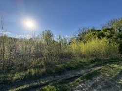 🌿 ������ �������� ������ 10 ����� ������� � �������� ���� ��� ����� �� ����������! ���� 1